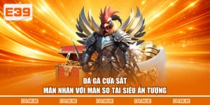 Đá Gà Cựa Sắt - Mãn Nhãn Với Màn So Tài Siêu Ấn Tượng
