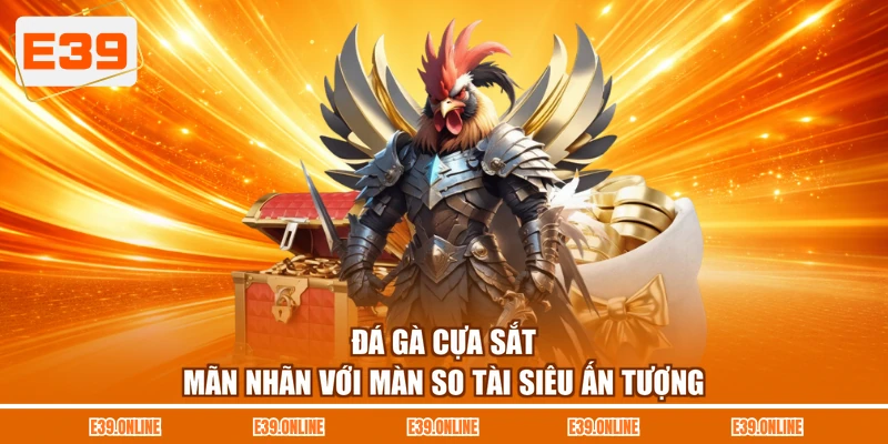 Đá Gà Cựa Sắt - Mãn Nhãn Với Màn So Tài Siêu Ấn Tượng