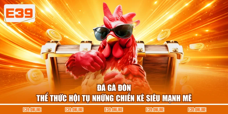 Đá Gà Đòn - Thể Thức Hội Tụ Những Chiến Kê Siêu Mạnh Mẽ