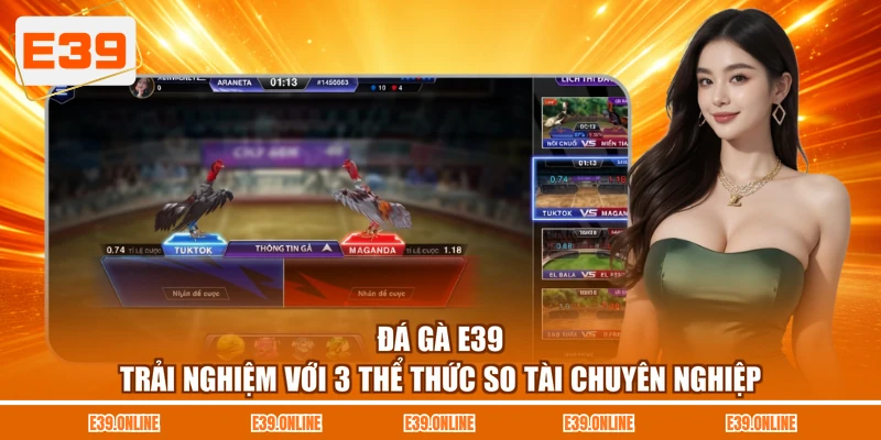 Đá Gà E39 - Trải Nghiệm Với 3 Thể Thức So Tài Chuyên Nghiệp