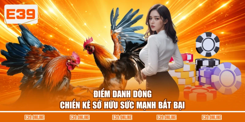 Điểm danh dòng chiến kê sở hữu sức mạnh bất bại