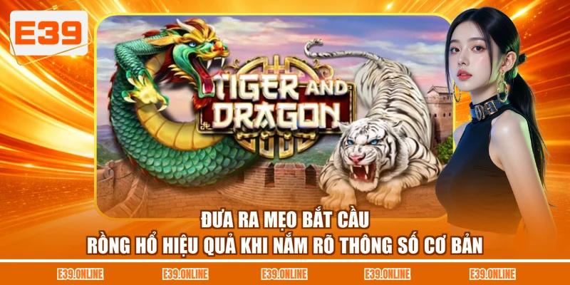 Đưa ra mẹo bắt cầu Rồng Hổ hiệu quả khi nắm rõ thông số cơ bản