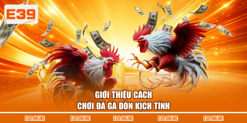 Giới thiệu cách chơi đá gà đòn kịch tính