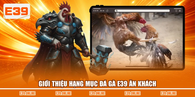 Giới thiệu hạng mục đá gà E39 ăn khách