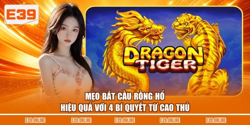 Mẹo Bắt Cầu Rồng Hổ Hiệu Quả Với 4 Bí Quyết Từ Cao Thủ