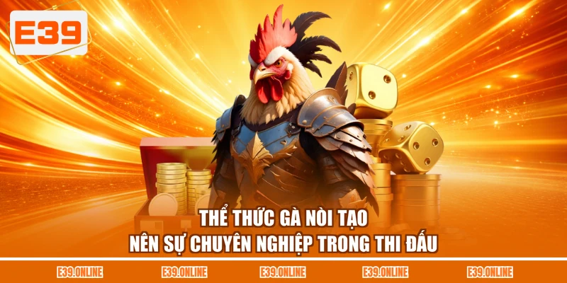 Thể thức gà nòi tạo nên sự chuyên nghiệp trong thi đấu